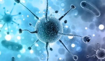 Ko bijo peršalimo ligas galintys sukelti virusai?