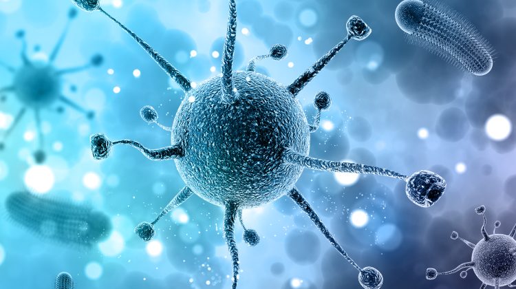 Ko bijo peršalimo ligas galintys sukelti virusai?