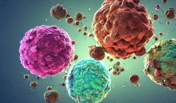 Maisto papildai imunitetui