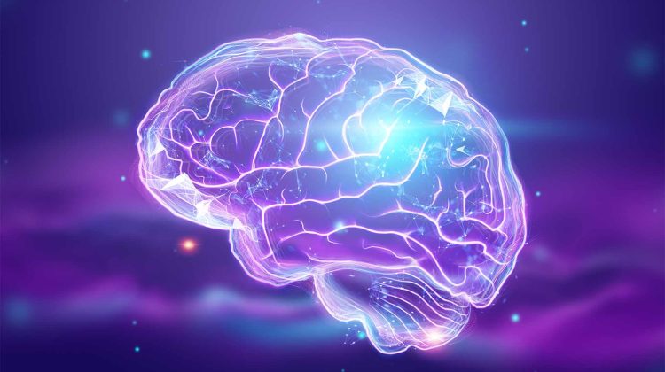 Maisto papildai ir vitaminai atminčiai