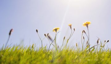 Jau sulaukėme pavasario! 5 patarimai, padėsiantys greičiau sulaukti šiltojo metų sezono