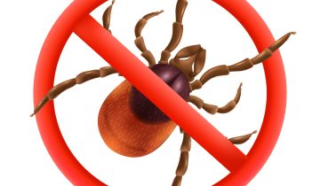 Atsargiai – erkės jau bunda!