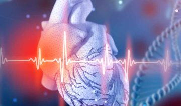 Maisto papildai ir vitaminai širdžiai